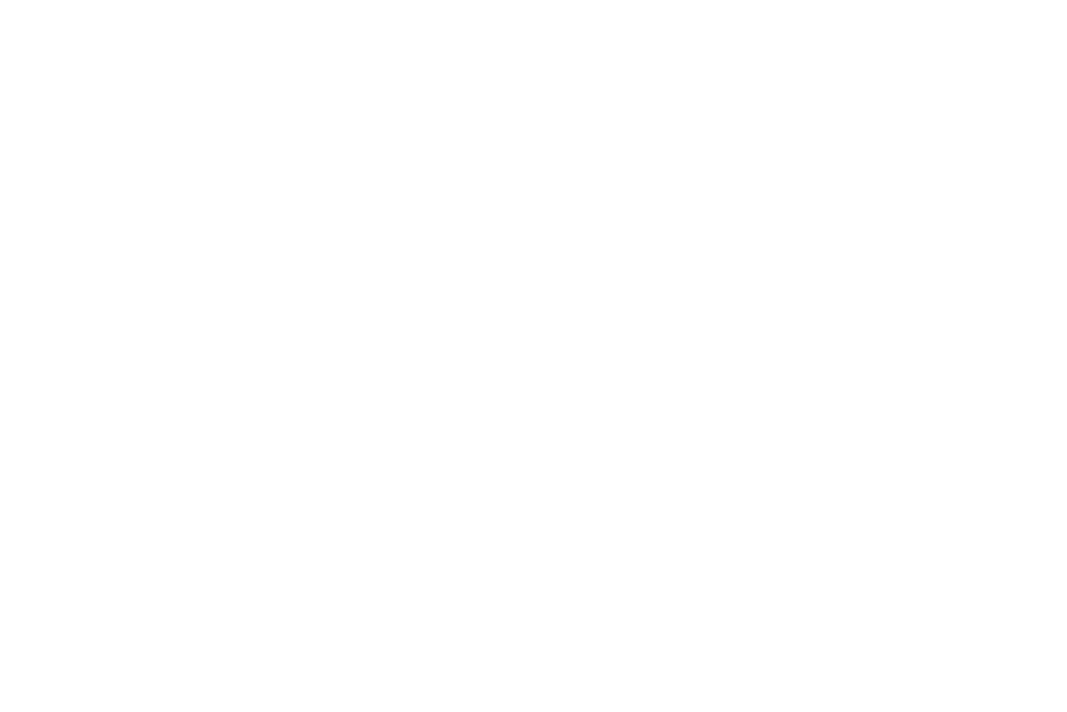 Logo White